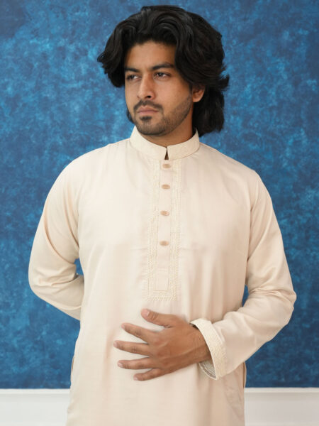 Moslin Cotton Embroidery work Panjabi